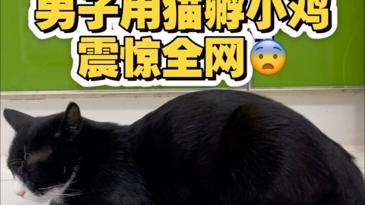 关于老公想买只小鸡被我拒绝后……