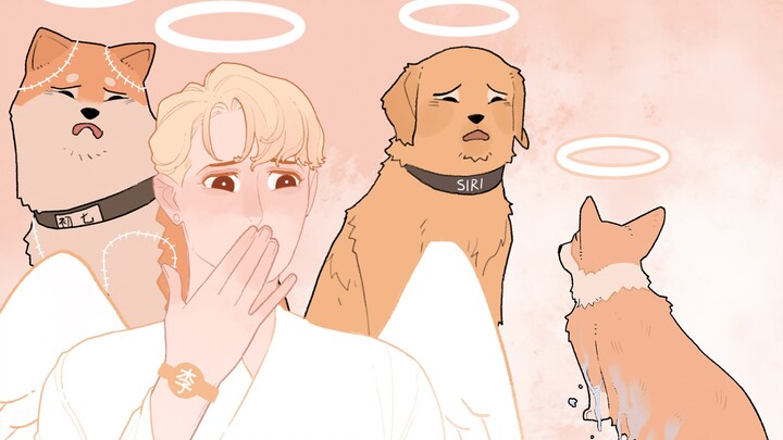 Speak up for the poor little corgi! Please respect all life!