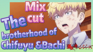 [Tokyo Revengers]  Mix cut | The brotherhood of Chifuyu &Bachi