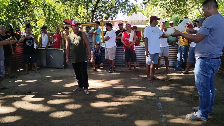 my very own white x holdap line bulik 7months kontra 5k sweater 1yr old