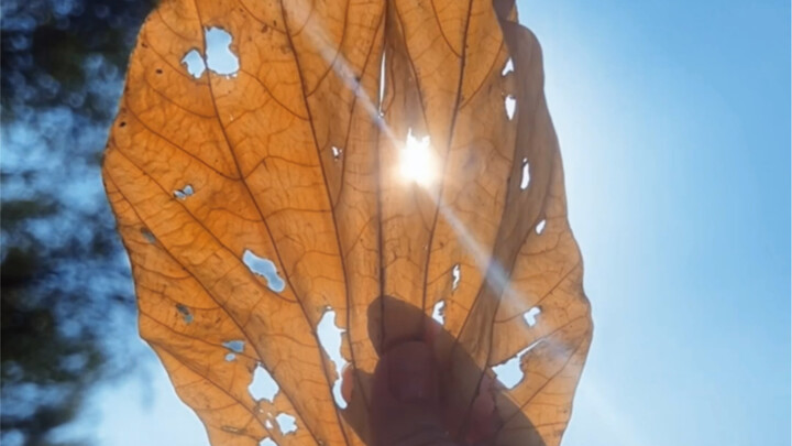 It turns out, even flaws can shine.