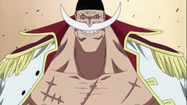 Whitebeard vs Akainu