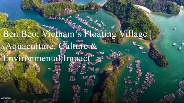“Ben Beo: Vietnam’s Floating Village | Aquaculture, Culture & Environmental Impact”