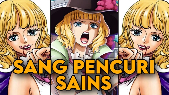ISTRI SAH DARI SHIROHIGE? (ONE PIECE)