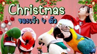 🎄🎅Merry Christmas ของเจ้า 4 ตัว ❤🎁 Ep.169