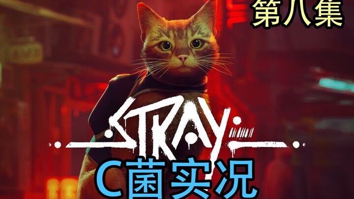 C quân “Stray” mèo hoang cyberpunk tập 8