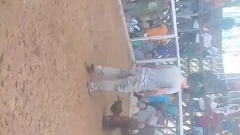 Peruvian Cross Black Win