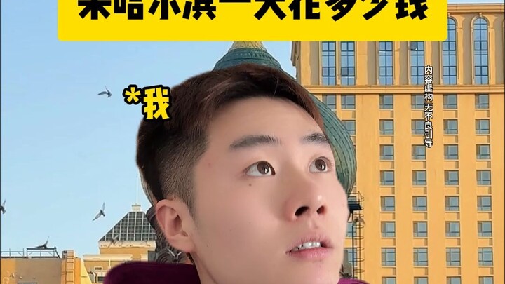 How much does it cost to go to Harbin for a day?