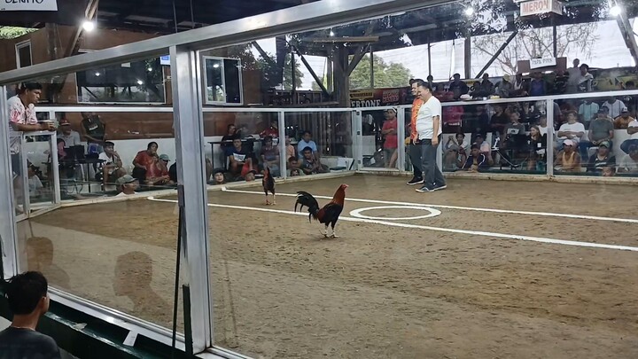 4x winner sweater x arl white hatch