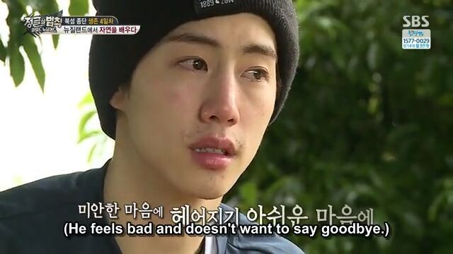 E268 Law of the Jungle - New Zealand