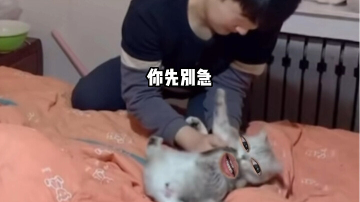 毛遂自荐