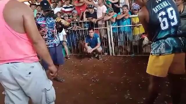 Makalingaw Ang Sabong