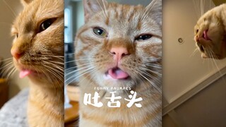 دا جيو، هل أنت تُبَرِّدُ حرارتك؟