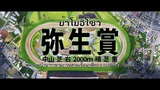 uma musume the movie the beginning the new era (ซับไทย)