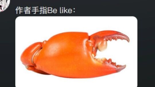 Sudah dicoba untuk kalian, burung camar tidak suka makan gorengan.