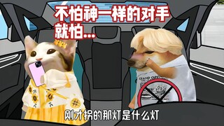我只是闯了个红灯，咋就无期了捏