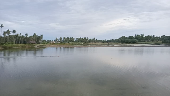 speed test mini boat