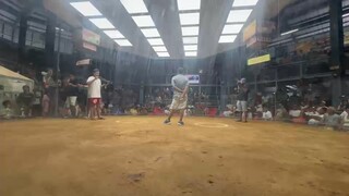 TL Sweater win Champ