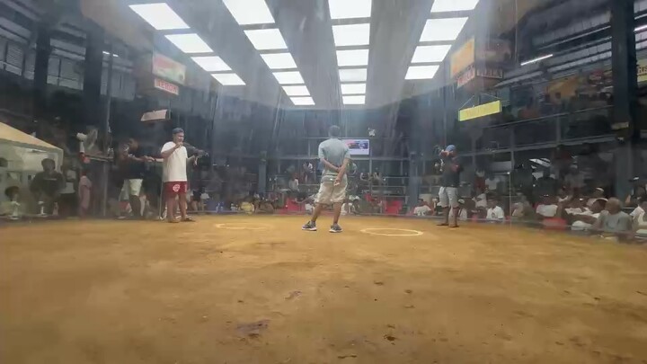 TL Sweater win Champ