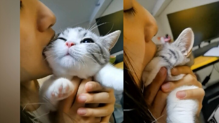 “Girl, that’s not how you suck on a cat!”