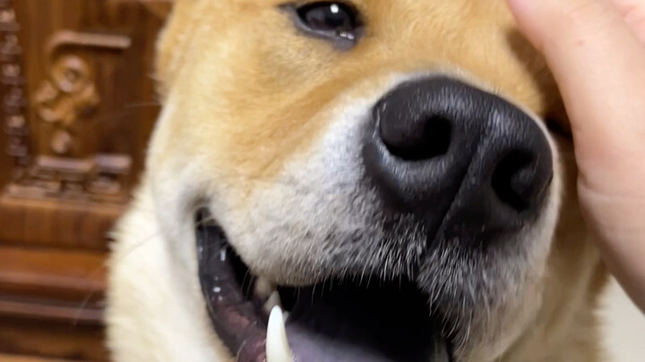 Scholar: Know how to do it?