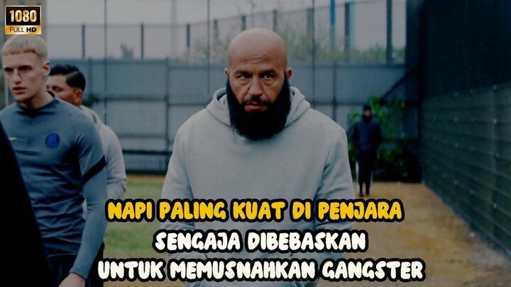 BOS Penjara Paling BRUTAL Sengaja Dibebaskan Untuk Menghilangkan Para Gangster -