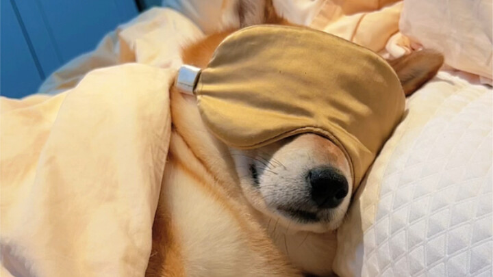 Ở chung với nhau đã năm năm mà lúc nào cũng vậy, liệu có cần tiếp tục nữa không?