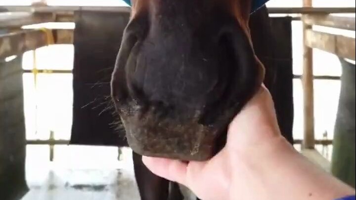 Nặn một cái là thè lưỡi