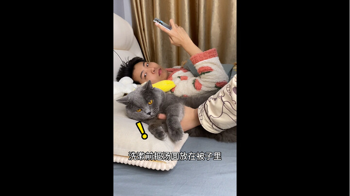 วิธีใช้แมวน้อยอย่างถูกต้องในฤดูหนาว~