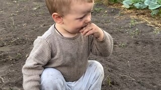 带娃欢乐多多，还是萌娃好养活……