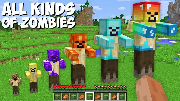 I found ALL KINDS OF ZOMBIES in Minecraft ! WHICH SECRET ZOMBIE IS THE BEST ?