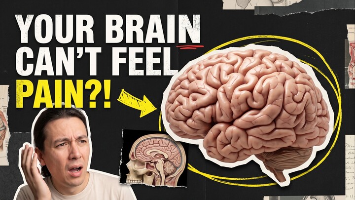 Your Brain Can’t Feel Pain?! 🧠😳