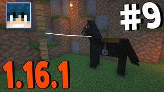 มอ ม้า คึกคัก ตามหาม้ากัน #9 l มายคราฟ 1.16.1 เอาชีวิตรอด