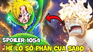 SPOILER 1054 | SỐ PHẬN CỦA SABO?! | SHANKS VÀ DRAGON XUẤT HIỆN?!