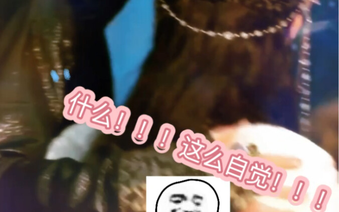 大强爱的抚摸小兰花（真的太宠了吧