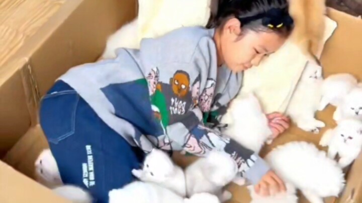 Cute little cat—of course I’ve got to tag the cutest girl in the world to come take a look!