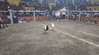 sayang patay na din Ang klban