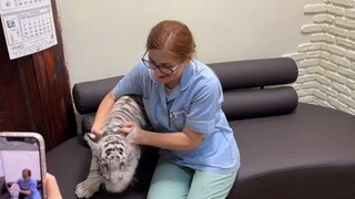 你完了，我看见你的脸了！