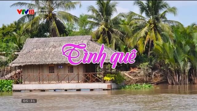 VTV10 - Ca nhạc: Tình quê (11/04/2026)
