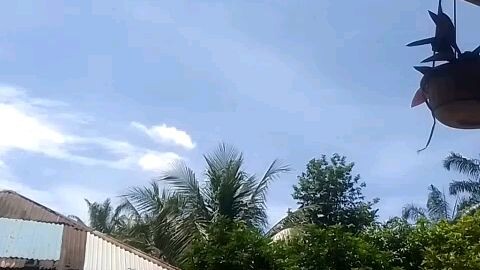 Pemandangan depan rumah 😍 #pipitart