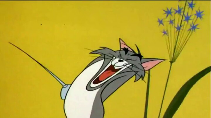 Teriakan Tom di "Tom and Jerry"