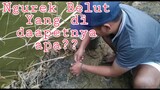 NGUREK BELUT YANG DI DAPATNYA APA!?