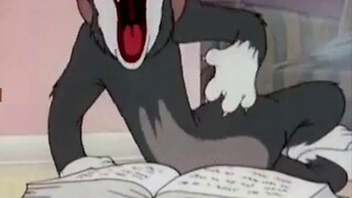 Mở tài khoản tiếp thị của Bilibili bằng phương pháp mèo vờn chuột, quá thật! ! !