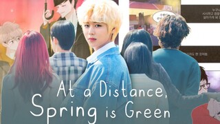 Drakor Park Ji Hoon || At A Distance Spring Is Green
