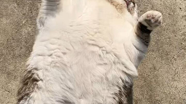 Rolling around is much easier now.