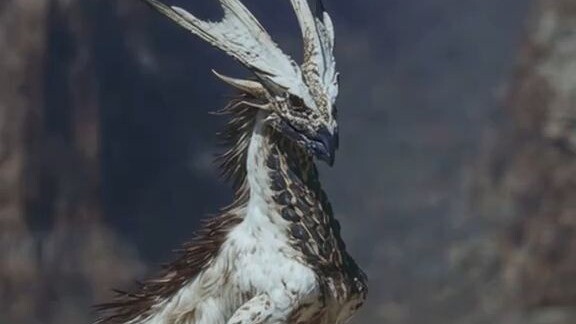 المفترسات على الكواكب الأخرى