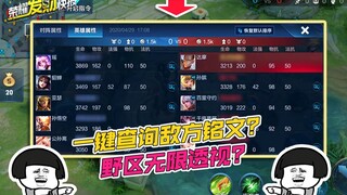 【荣耀发财快报】一键查询敌方铭文？野区无限透视？开局赢一半，这个“神器”谁用谁上分！
