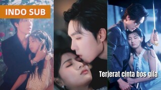 Di malam hujan deras aku salah menyinggung CEO gila,sejak itu dia memanjakanku yang paling berharga!