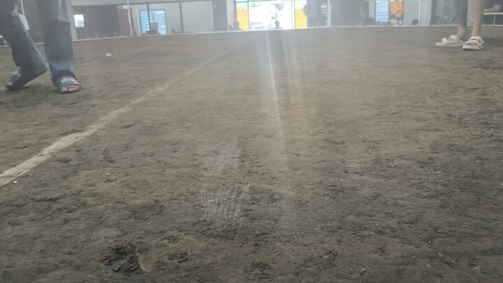 new mendez win kelso x reg grey!! di na pinaporma ang kalaban