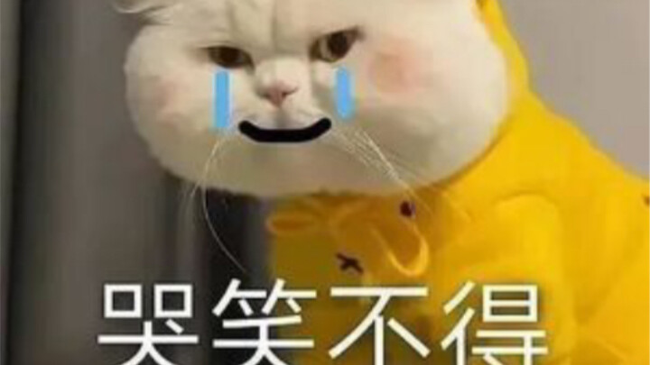 อาจารย์พูดถูกแล้ว